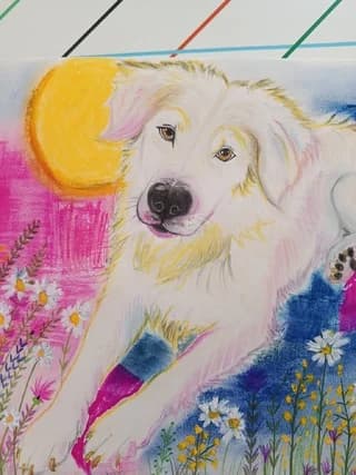 Blanco, male young Mixed Breed for adoption at Dogs Voice, Athens