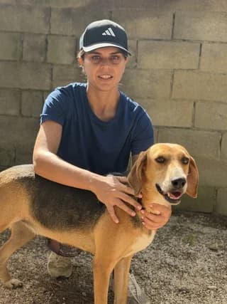 Paula, female 3yo Mixed Breed for adoption at Dogs Voice, Athens