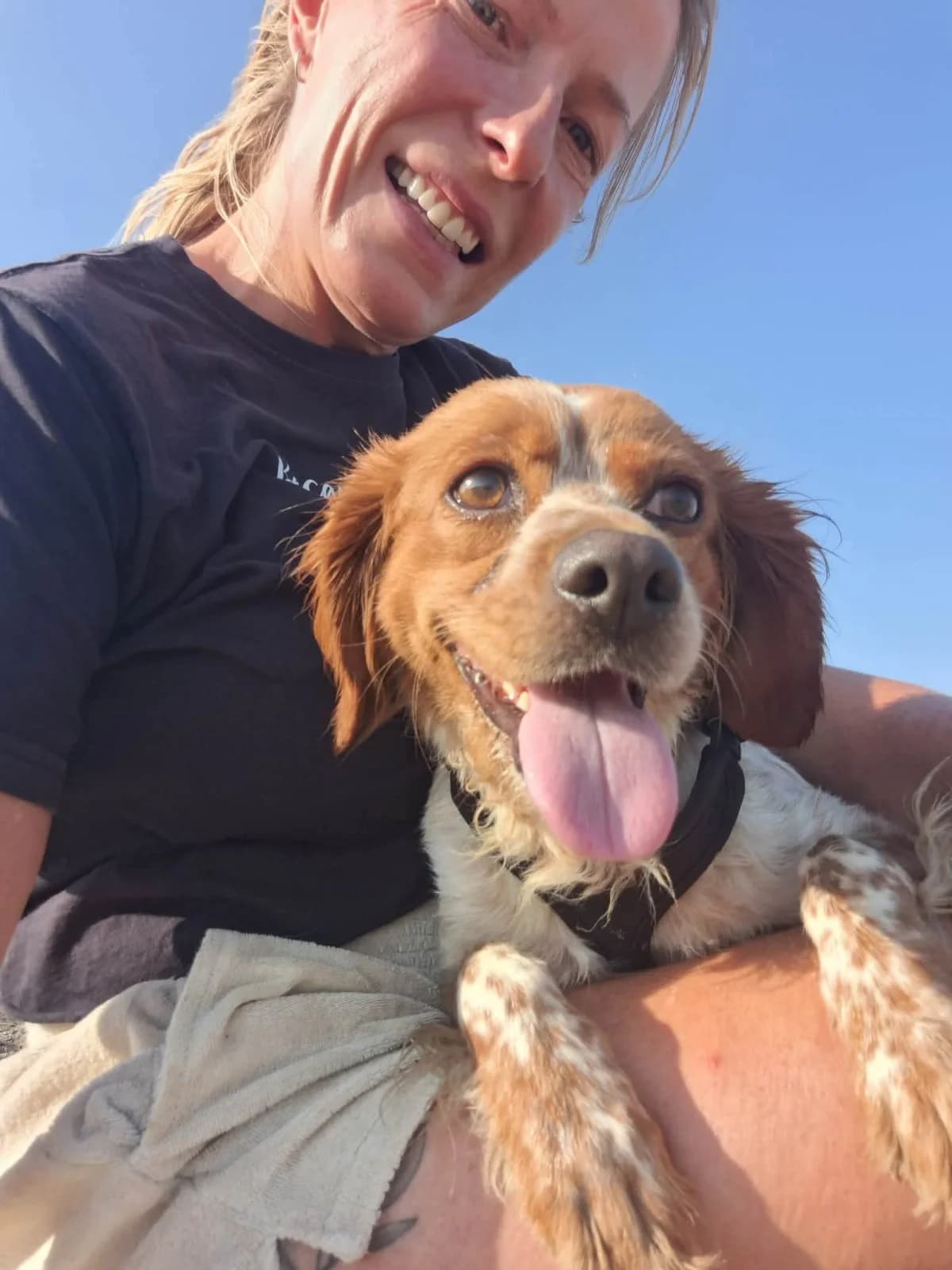 ODESSA, female 3yo mixed breed for adoption at Naxos Animal Welfare Society (NAWS), Naxos