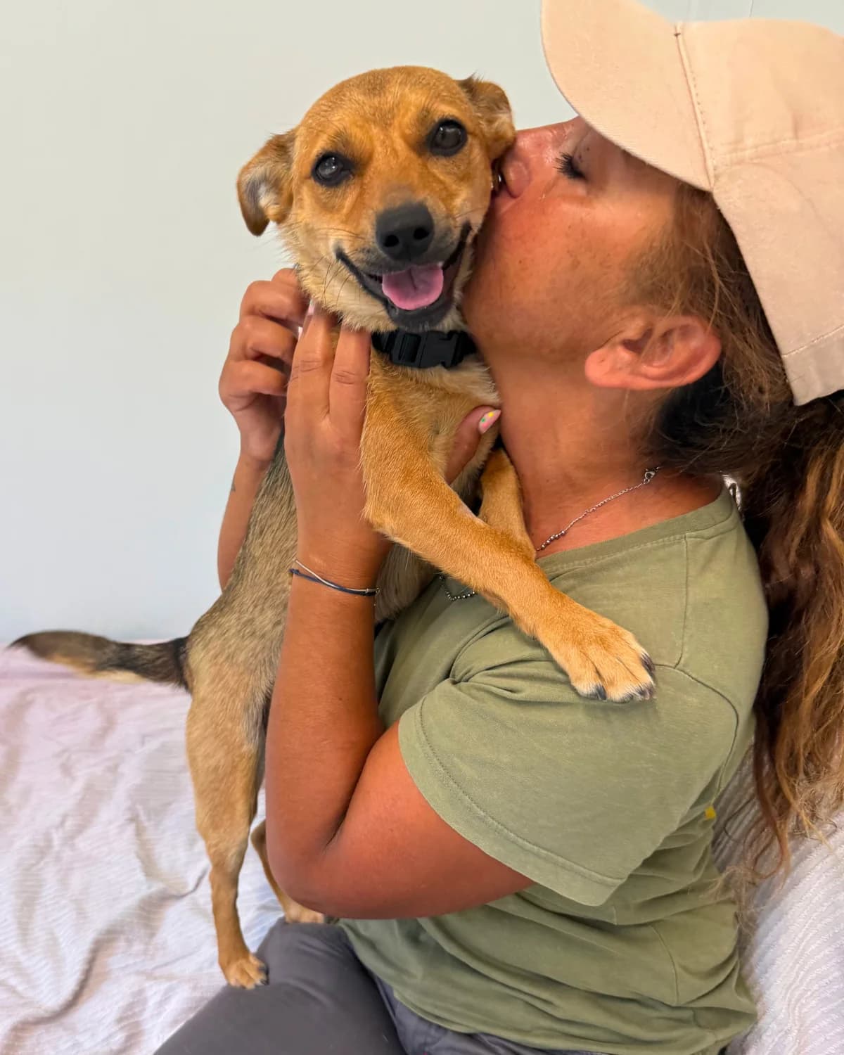 Maša, female puppy Mixed Breed for adoption at Azil Dubrovnik