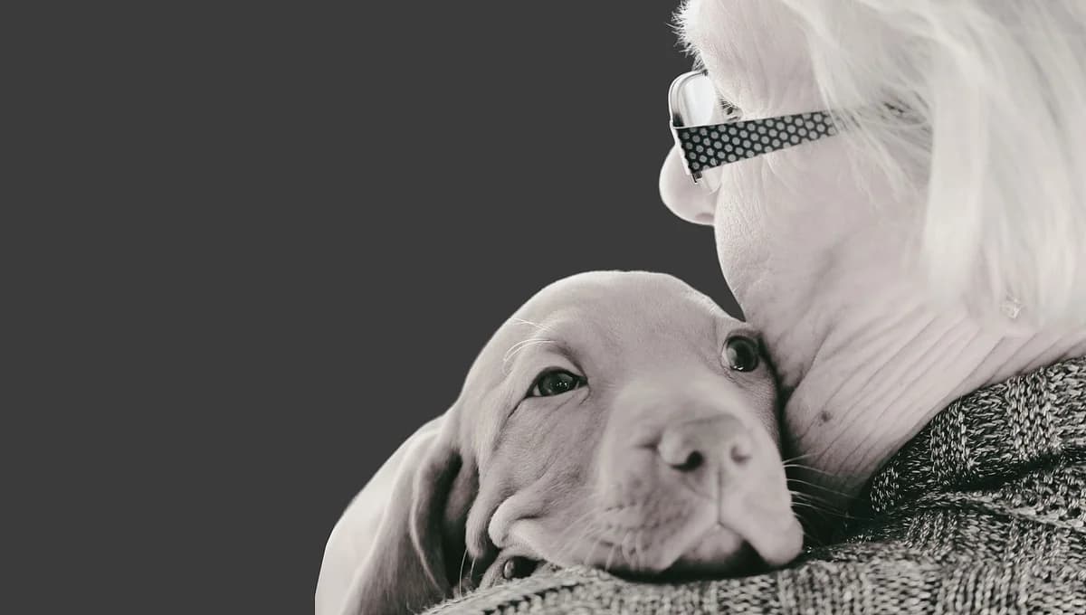 Costi e benefici di avere un cane, Mixed Breed for adoption at Associazione Onlus Apaca