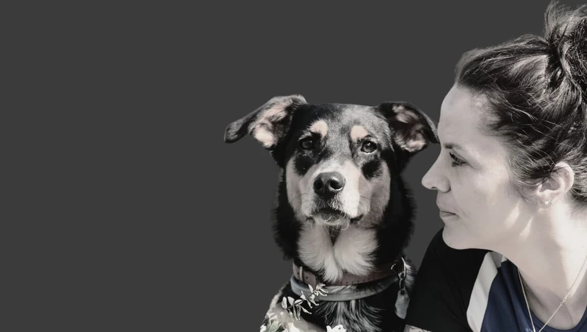 Il cane ha un grande impatto ambientale, puppy Mixed Breed for adoption at Associazione Onlus Apaca