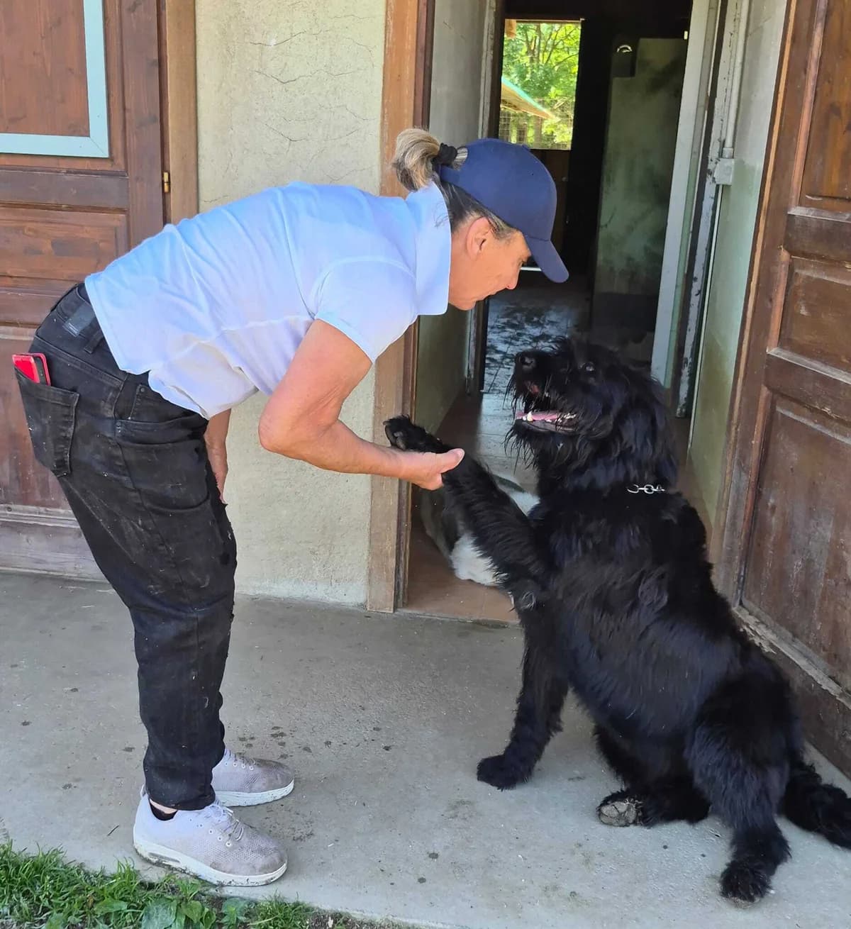 PEPE, male young Mixed Breed for adoption at Casa del Cane Vagabondo