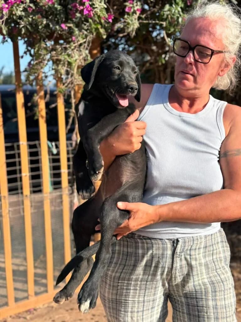 FICO, male puppy Mixed Breed for adoption at Dimensione Animale Bergamo