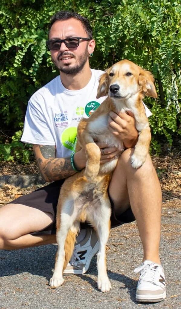 MIMMO, male puppy Mixed Breed for adoption at Dimensione Animale Bergamo