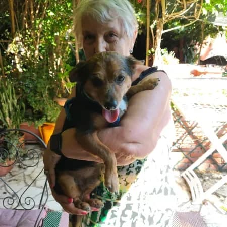 Pan, male 6yo mixed breed for adoption at Furry Rescue Italy, Nazionale
