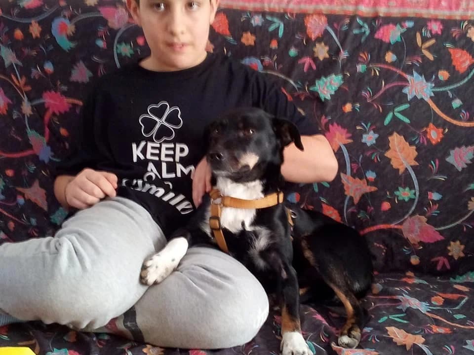 Piper, 3yo Mixed Breed for adoption at La Mia Ombra Scodinzola — San Giuliano Milanese, San Giuliano Milanese MI