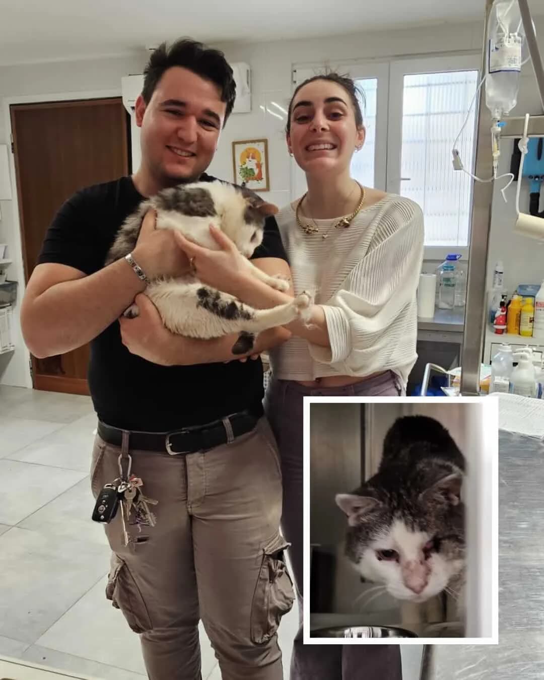 Un’adozione “fortunata”, senior Mixed Breed for adoption at Oasi Felina Pianoro