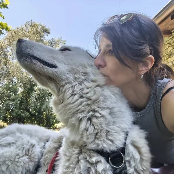 Juno, female 6yo Mixed Breed for adoption at Il Silenzio degli Invisibili — Gera Lario, Gera Lario CO