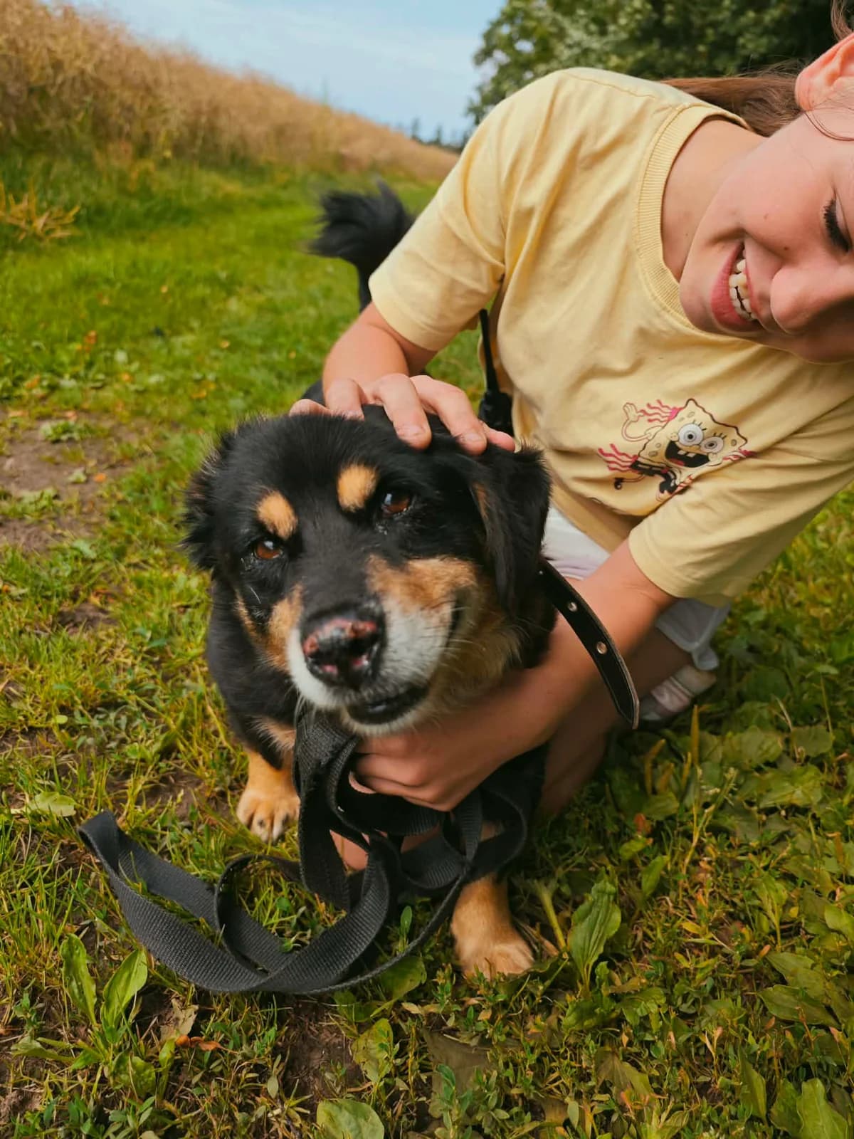 LAKUTIS, male Mixed Breed for adoption at Šiaulių Letenėlė
