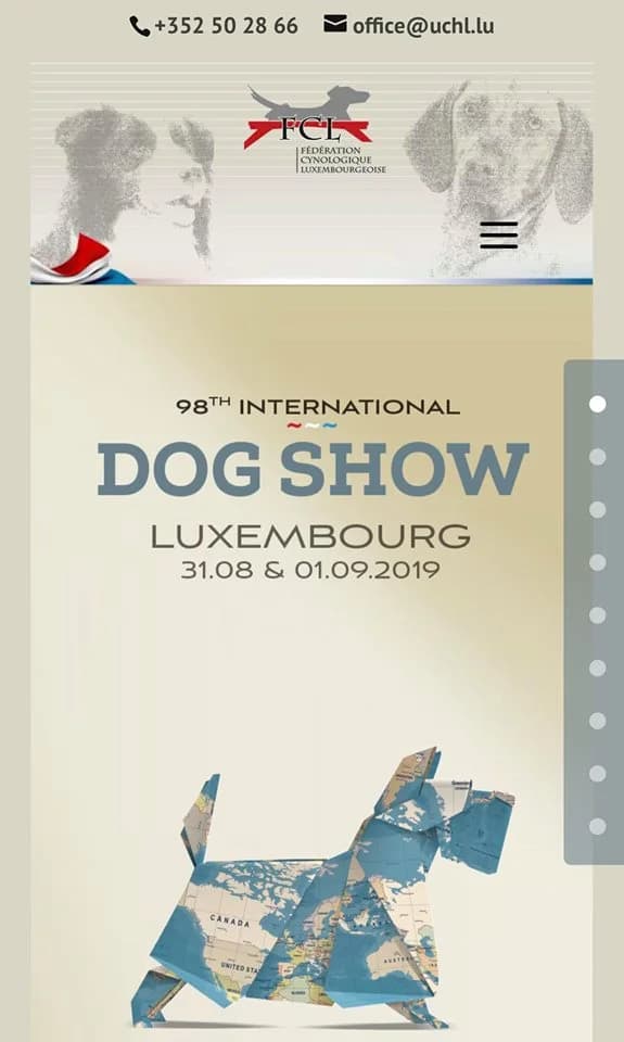 Dog Show 2019, Mixed Breed for adoption at Give Us A Voice Luxembourg, Give Us A Voice