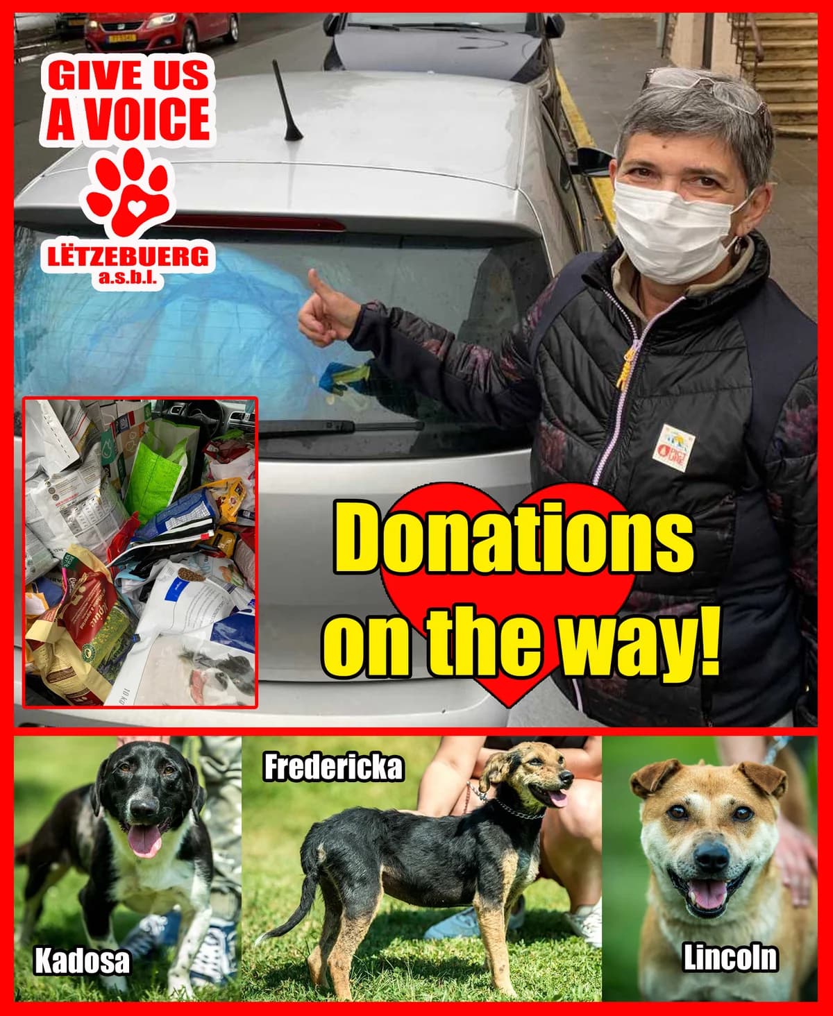 Donations on the way, Mixed Breed for adoption at Give Us A Voice Luxembourg, Give Us A Voice