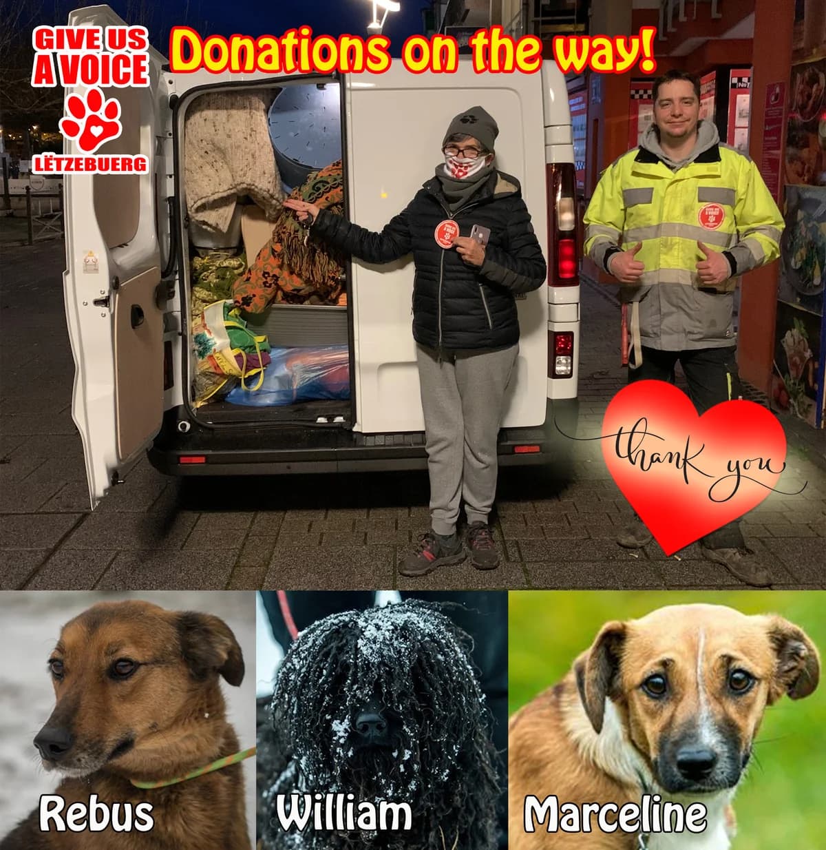 Donations on the way, female Mixed Breed for adoption at Give Us A Voice Luxembourg, Give Us A Voice