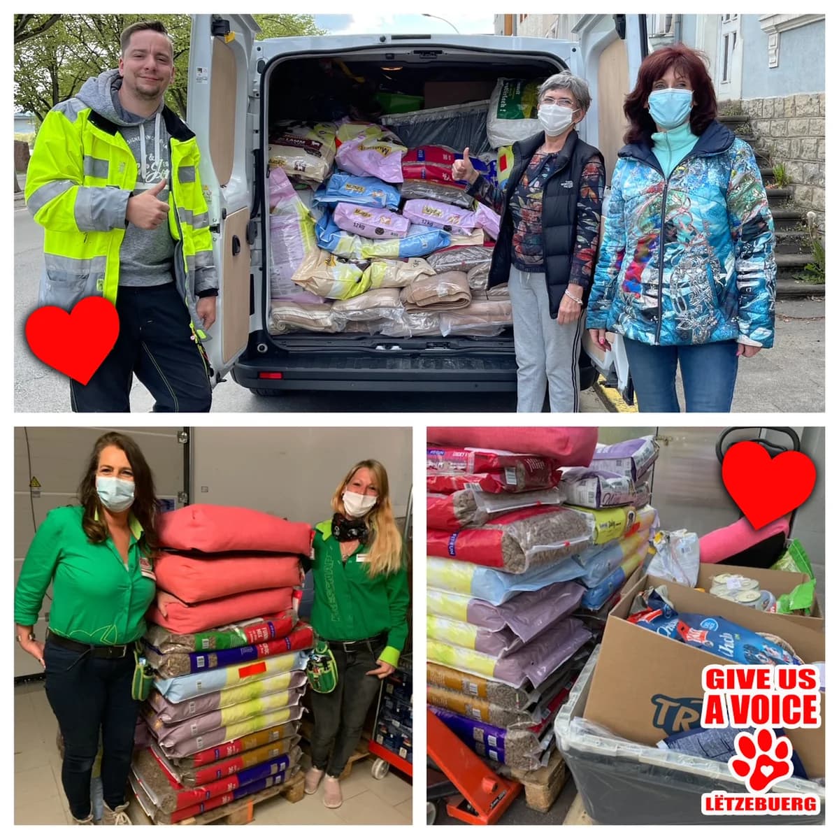 More Donations on the Way, Mixed Breed for adoption at Give Us A Voice Luxembourg, Give Us A Voice