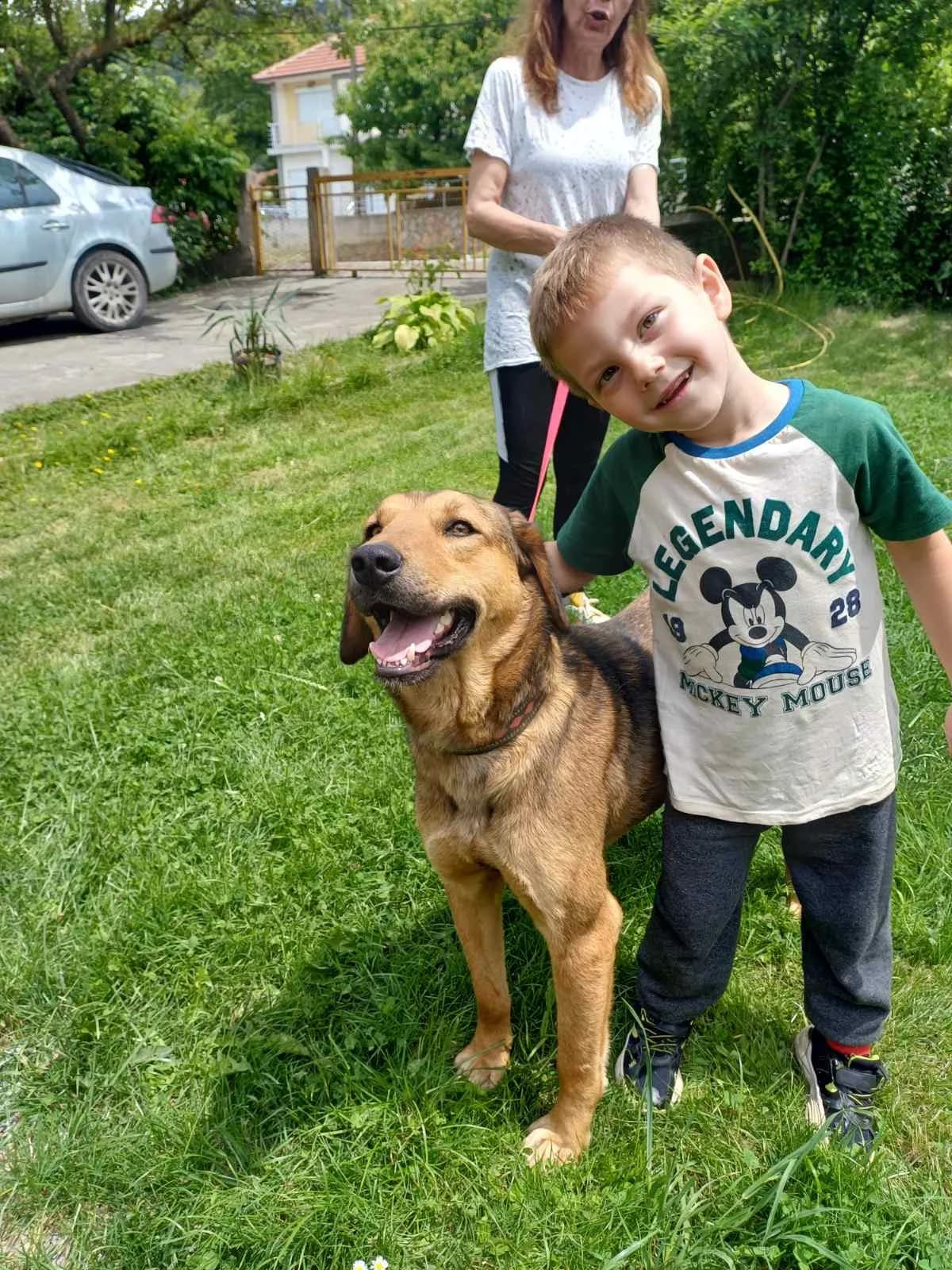 Lola, female Mixed Breed for adoption at Strays Without Borders, Skopje