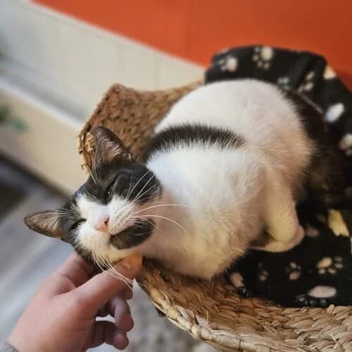 Deborah – gereserveerd