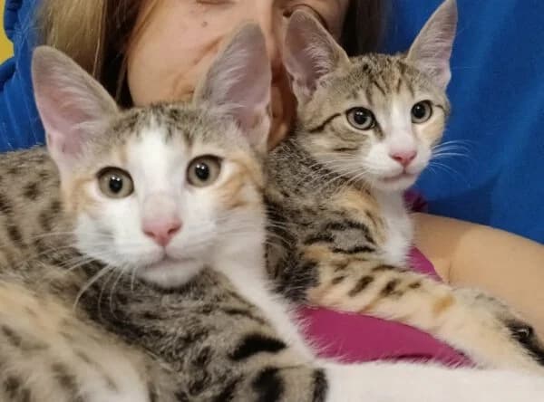 Itzy en Bitzy (gereserveerd)