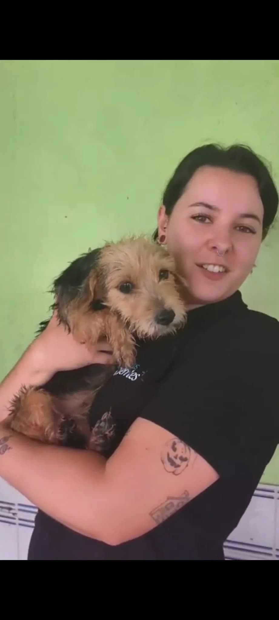 Lief, mixed breed for adoption at Stichting Hobodogs
