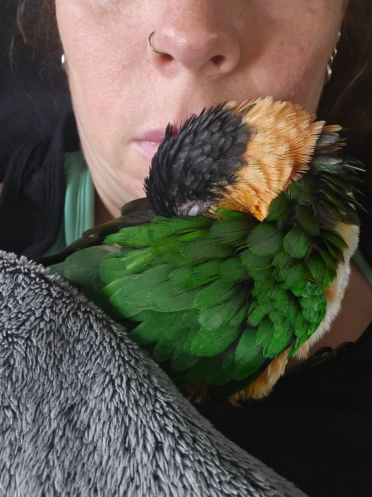 Paco, 3yo mixed breed for adoption at Stichting Hope for Wings