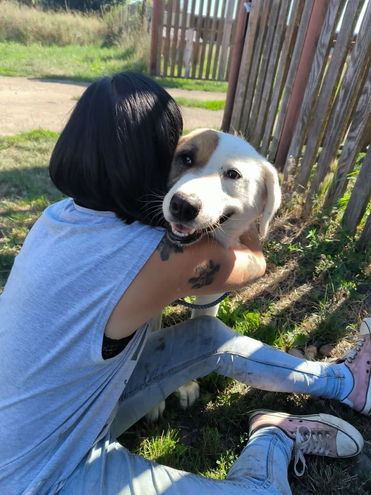 Leo, male 6yo Mixed Breed for adoption at Liefde voor Honden