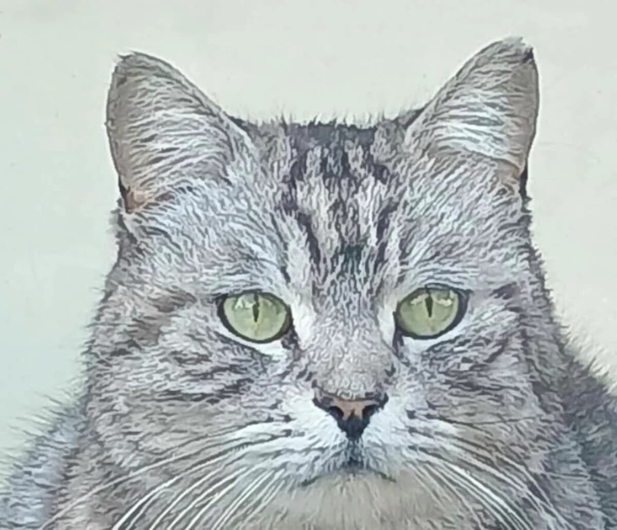 Silver, male 6yo Mixed Breed for adoption at Mirtos Animal Project
