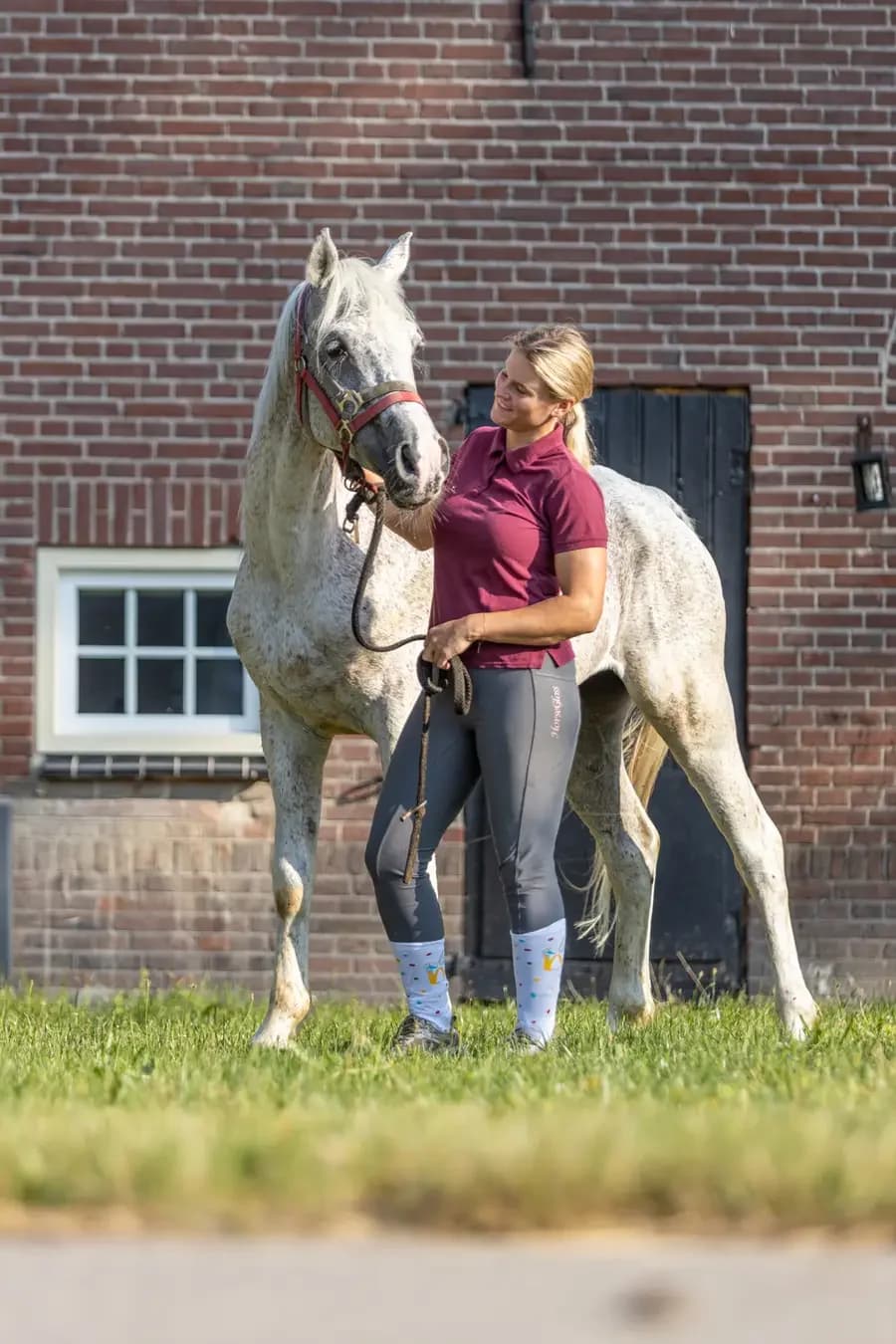 Upadu, male senior mixed breed for adoption at Paard zoekt baas, Ambt Delden