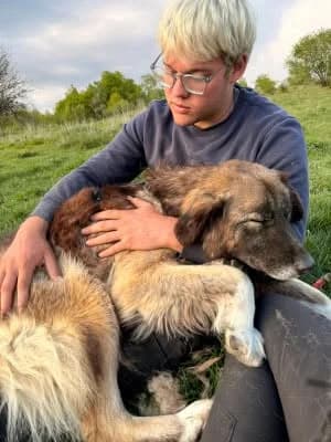 Mats- langzitter, male Mixed Breed for adoption at Stichting Rescani, NL-wide