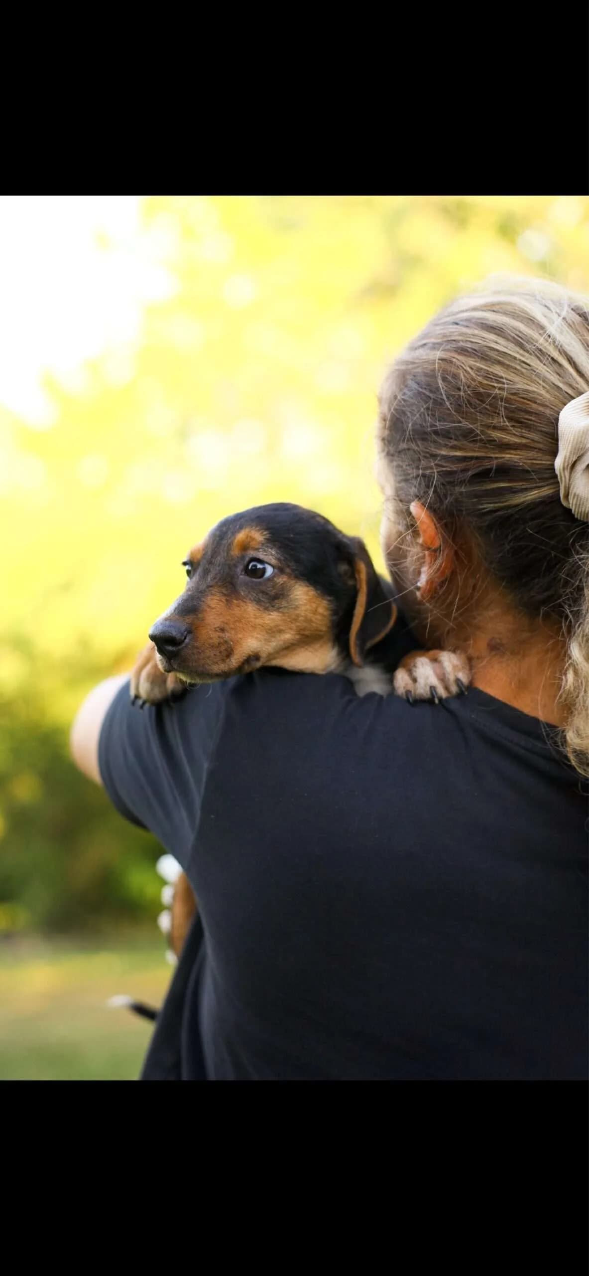 Kasja โ4 mnd, puppy Mixed Breed for adoption at stichting Idemo