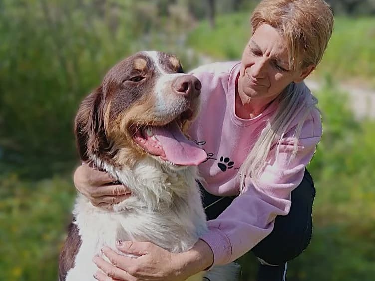 Nickos, male young Mixed Breed for adoption at Stichting Wereldhonden