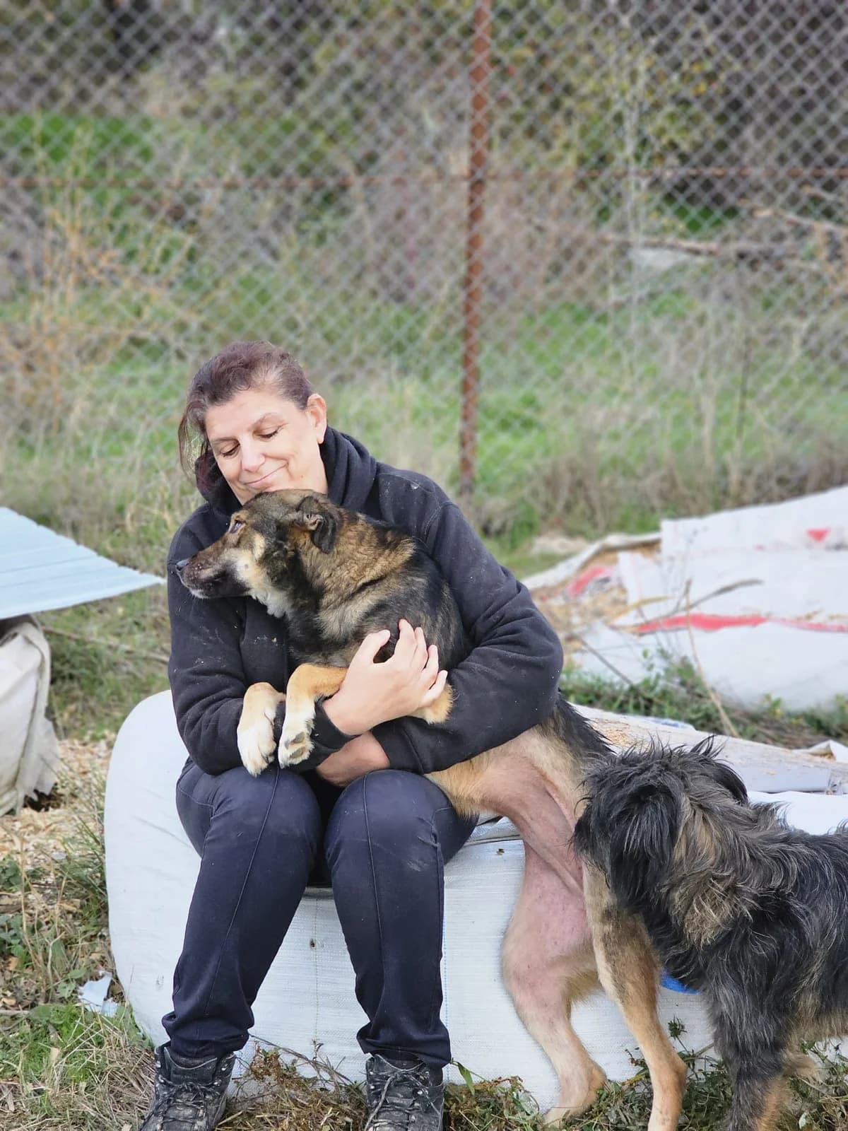 Kayla, female young Mixed Breed for adoption at Stichting Stray Paws, NL-wide