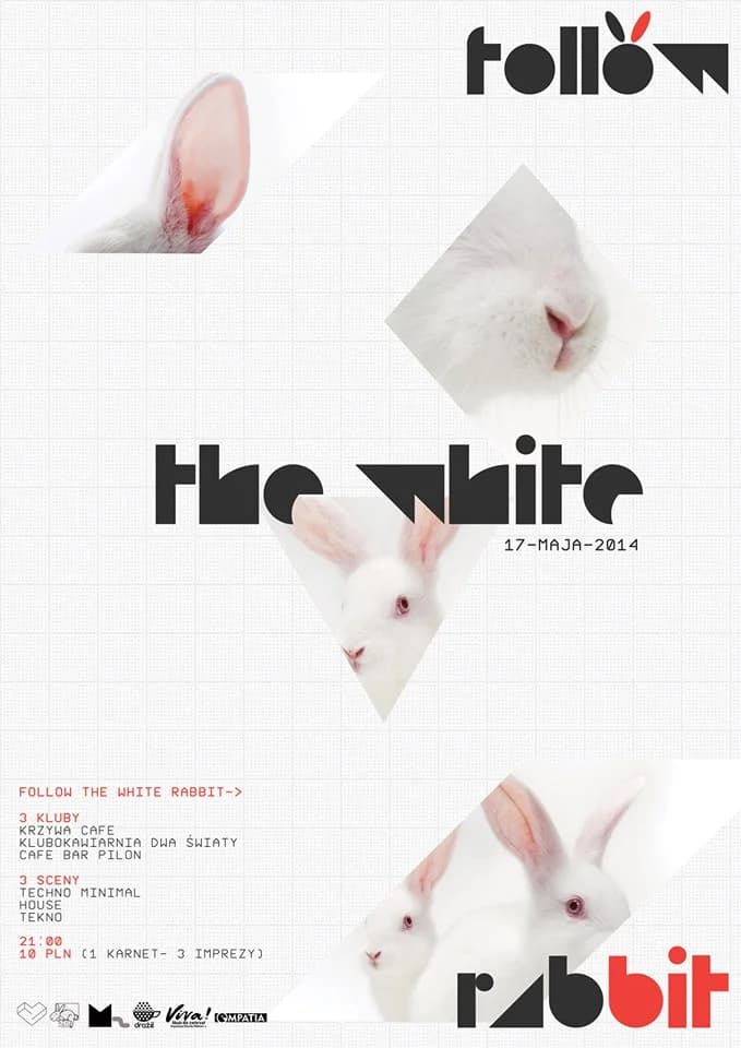 Follow the White Rabbit!, Mixed Breed for adoption at Asylum Foundation for Rabbits