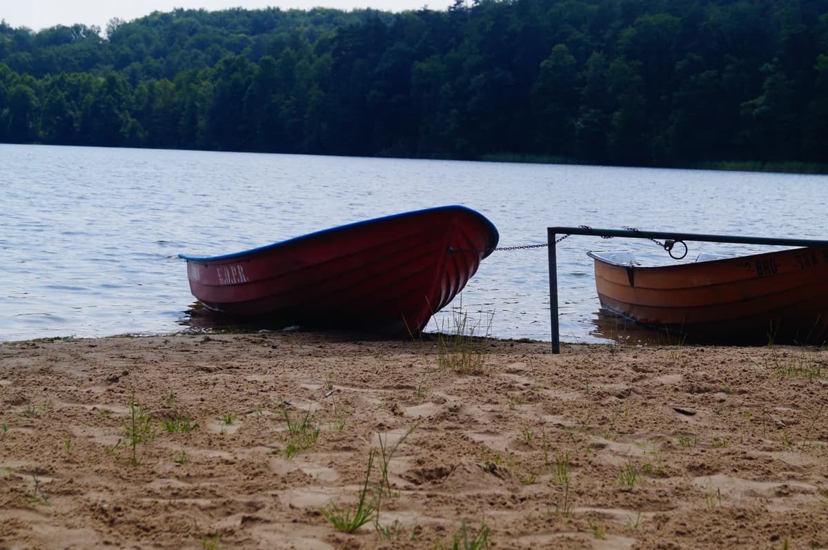 Oddech., Mixed Breed for adoption at Asylum Foundation for Rabbits