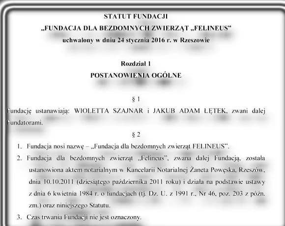 Statut, mixed breed for adoption at Foundation for homeless animals felineus