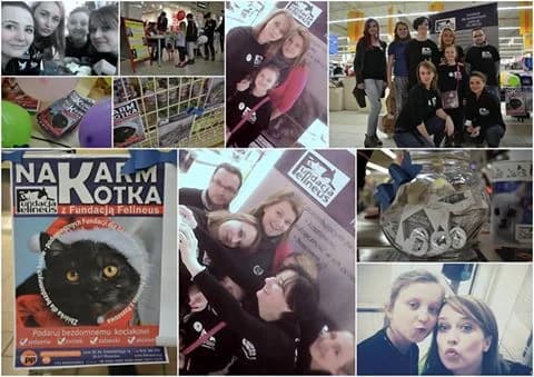 Mikołajkowa zbiórka 2016 – dziękujemy!, Mixed Breed for adoption at Foundation for homeless animals felineus