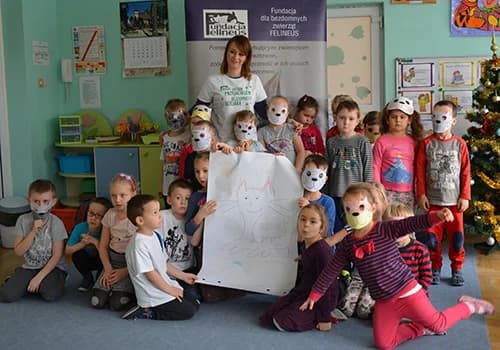 Rozumiem Mruczka, Mixed Breed for adoption at Foundation for homeless animals felineus