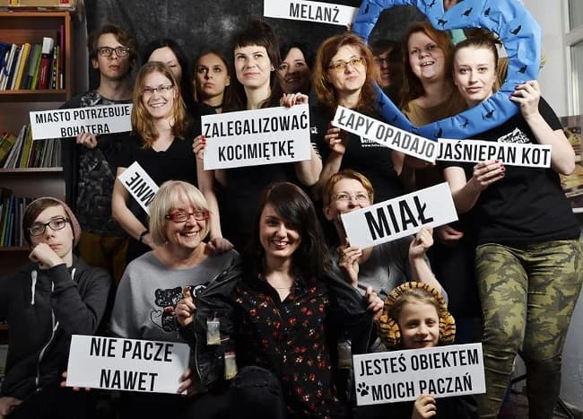 Dzień Kota w RIK, Mixed Breed for adoption at Foundation for homeless animals felineus