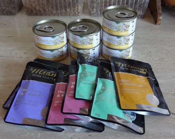 Serdecznie dziękujemy Pani Milenie, Mixed Breed for adoption at Foundation for homeless animals felineus