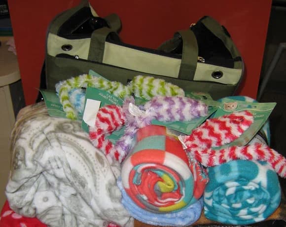 Pani Ewie serdecznie dziękujemy za kocyki, Mixed Breed for adoption at Foundation for homeless animals felineus