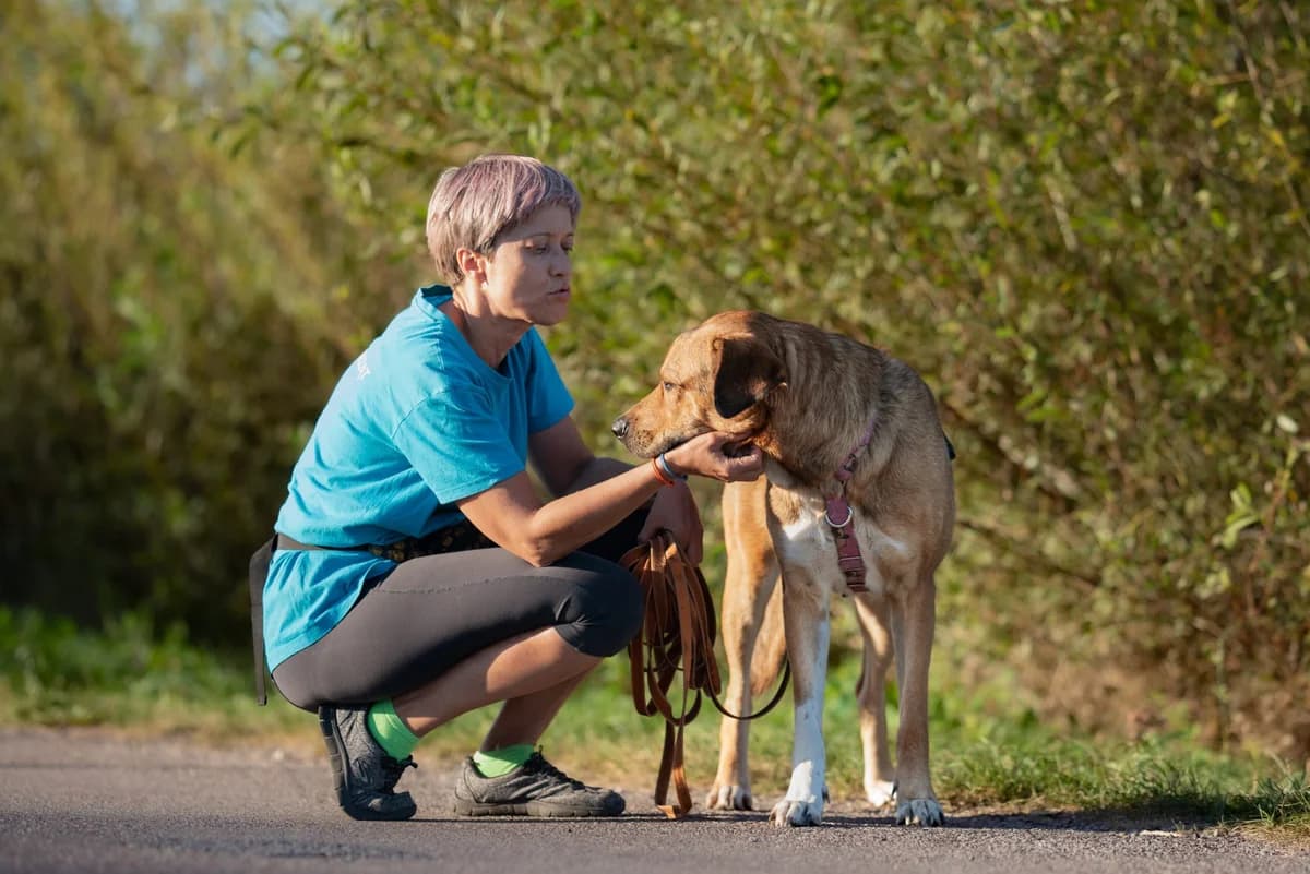Ivy, female Mixed Breed for adoption at Fundacja Judyta dla Psiego Losu