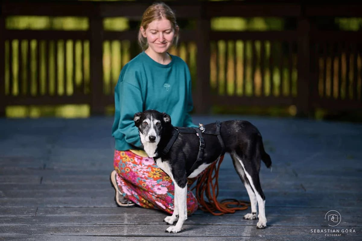 Motylek, female Mixed Breed for adoption at Fundacja Judyta dla Psiego Losu
