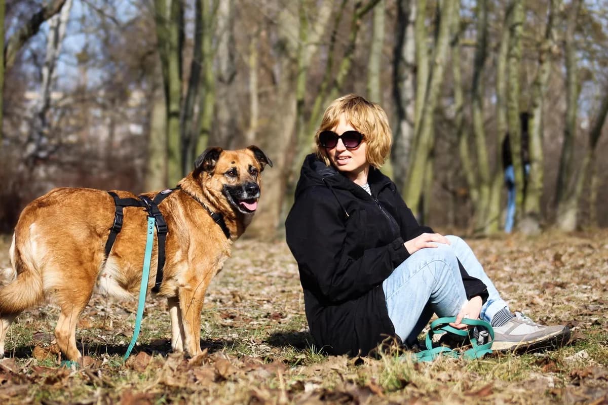 Pyza, female Mixed Breed for adoption at Fundacja Judyta dla Psiego Losu