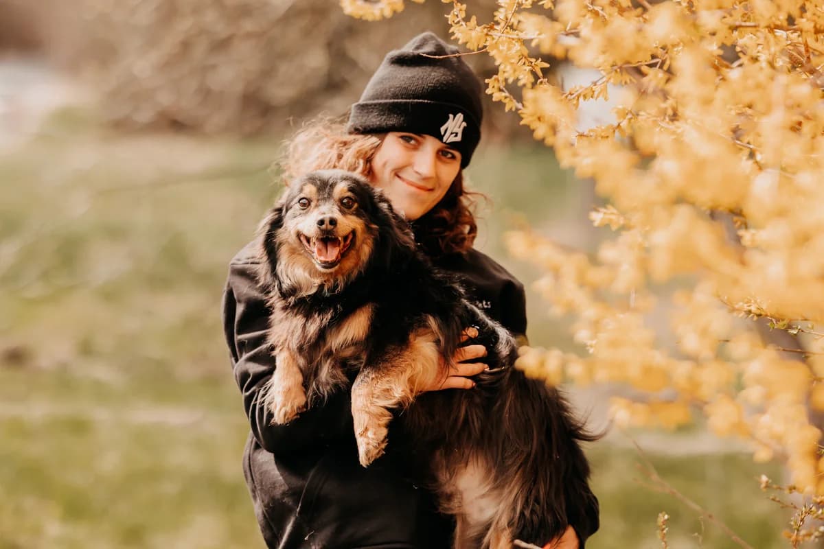 ZΔ
bek, male senior mixed breed for adoption at Funny Pets Czartki