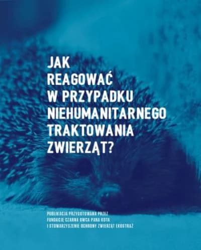 Ebook “, Mixed Breed for adoption at Mr Cat
