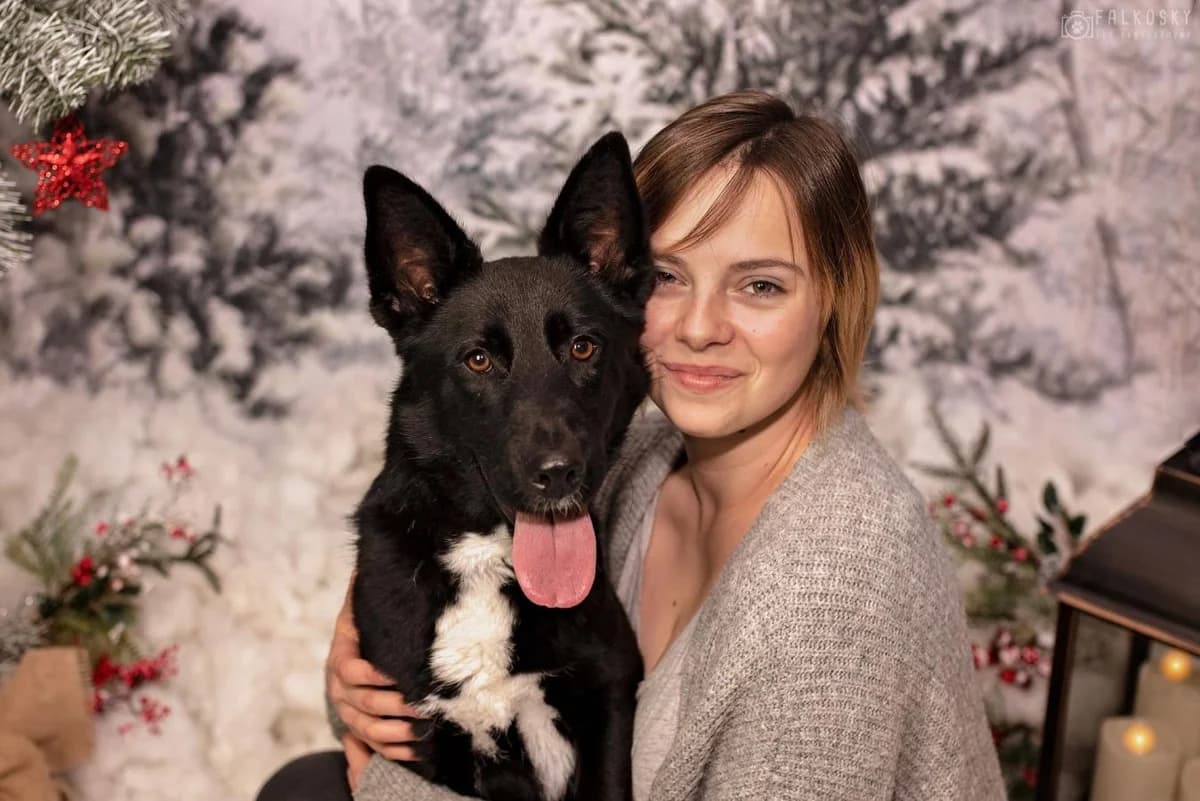 Draka, female 5yo German Shepherd for adoption at Schronisko Na Paluchu, Warsaw