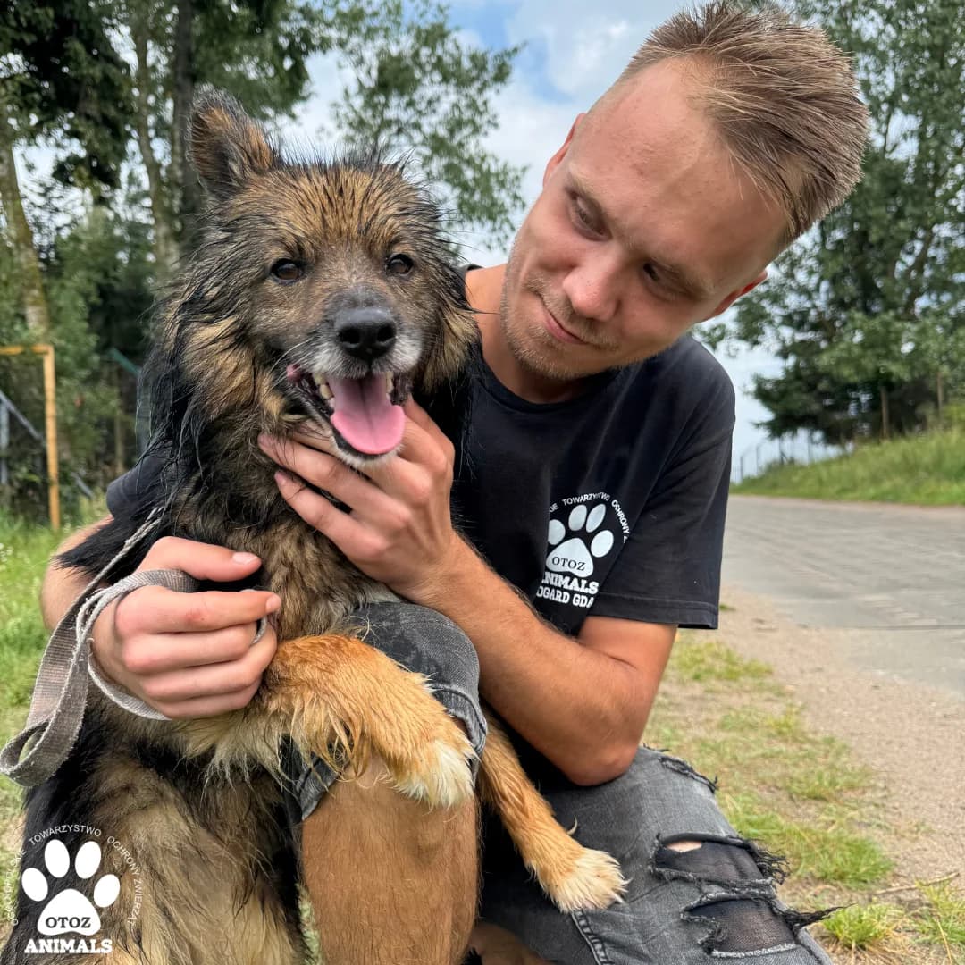 Rino, male 5yo Mixed Breed for adoption at OTOZ Animals — Schronisko w Starogardzie Gdańskim