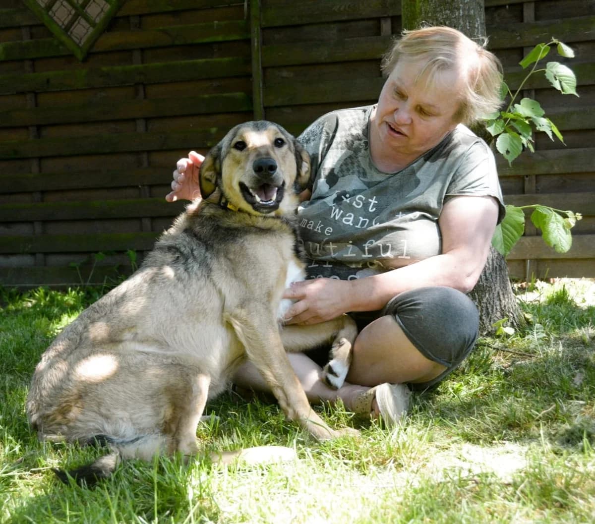 NOE MYŚLI, ŻE PSI SIEROCINIEC TO JEGO DOM, Mixed Breed for adoption at Pionkowskie Towarzystwo Opieki nad Zwierzętami
