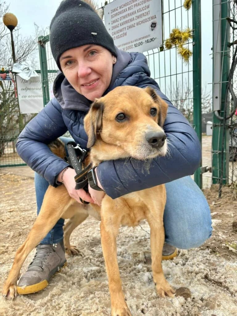 Kazbiczek, mixed breed for adoption at Przytulisko U Wandy