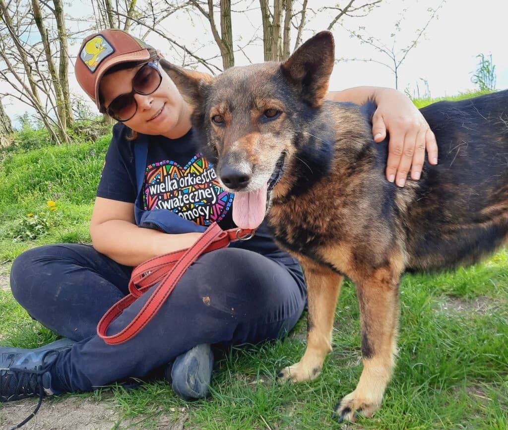 Snuka, mixed breed for adoption at Przytulisko U Wandy