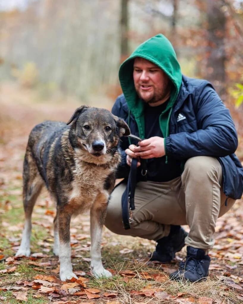 Mr Januszek, Mixed Breed for adoption at Przytulisko u Wandy