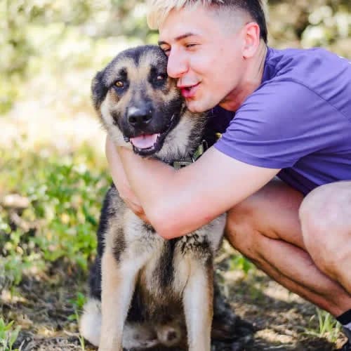 Pascal, male puppy Mixed Breed for adoption at Fundacja Puszatek, Warszawa
